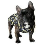 Rebel French Bulldog Shirt - Image 13