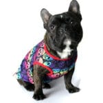 Rebel French Bulldog Shirt - Image 11