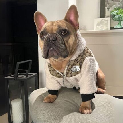 frenchie space shop bomber french bulldog jacket