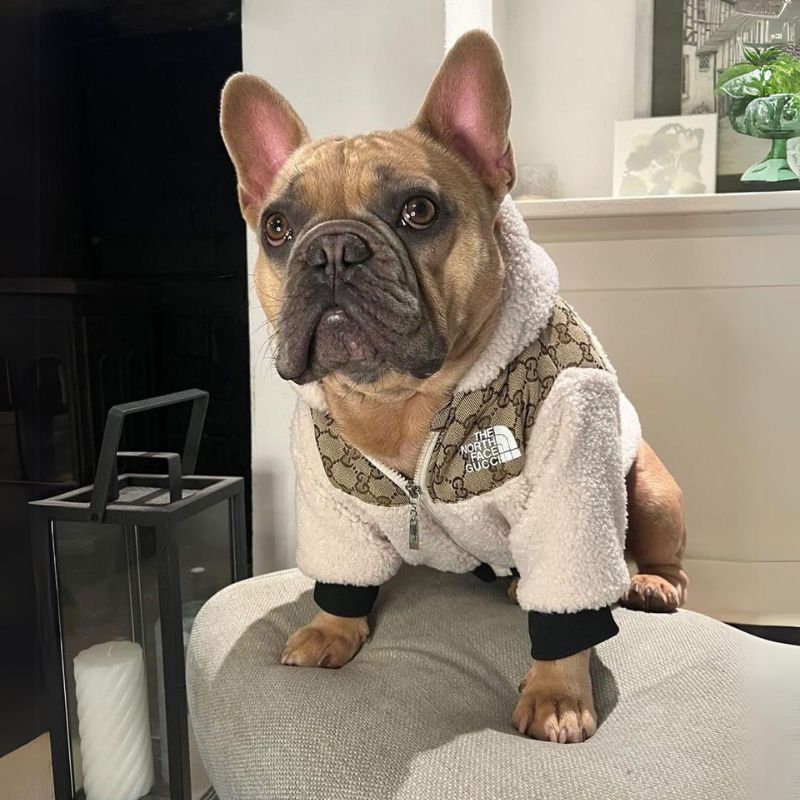 frenchie-space-shop-bomber-french-bulldog-jacket-5 frenchie space shop bomber french bulldog jacket