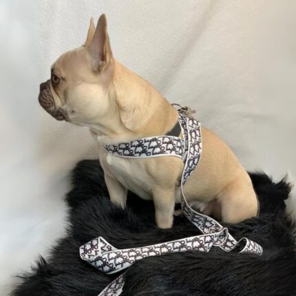 frenchie space shop designer french bulldog harness