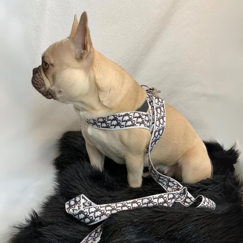 frenchie-space-shop-designer-french-bulldog-harness-1 frenchie space shop designer french bulldog harness