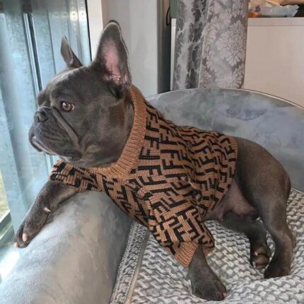 frenchie space shop frendi french bulldog sweater