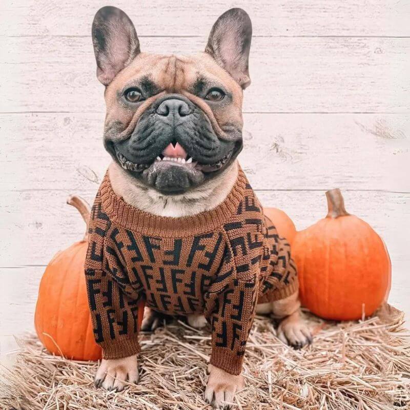 frenchie-space-shop-frendi-french-bulldog-sweater-4 frenchie space shop frendi french bulldog sweater