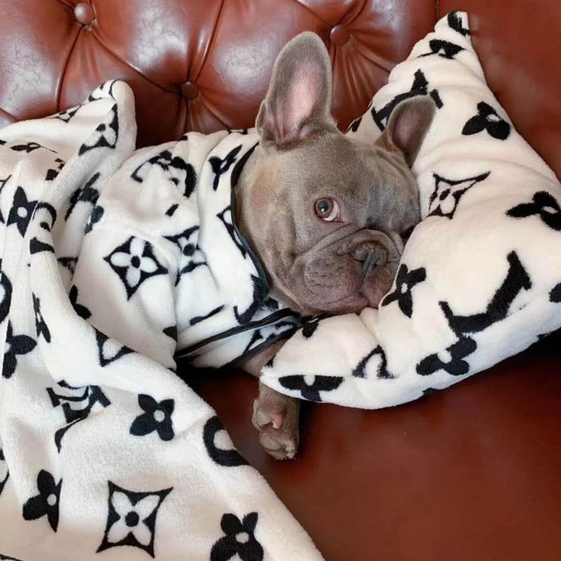 frenchie space shop lv french bulldog set