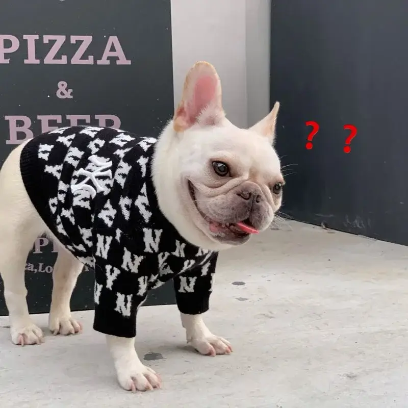 frenchie space shop ny french bulldog sweater