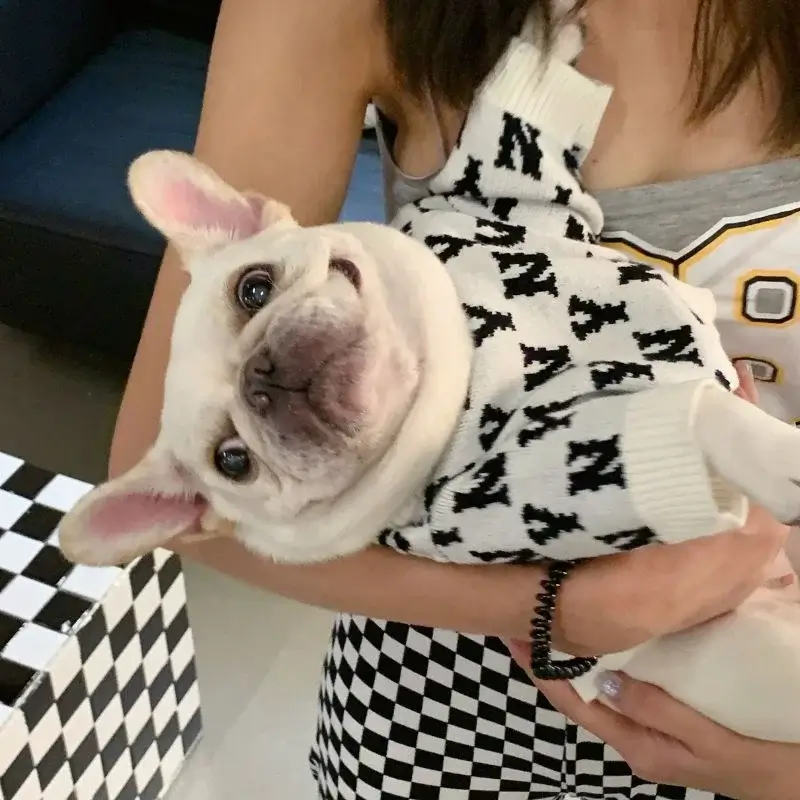 frenchie-space-shop-ny-french-bulldog-sweater-8 frenchie space shop ny french bulldog sweater