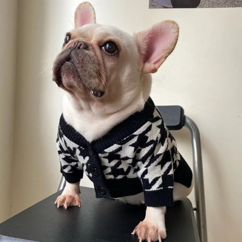 frenchie-space-shop-pepito-french-bulldog-sweater-6 frenchie space shop pepito french bulldog sweater