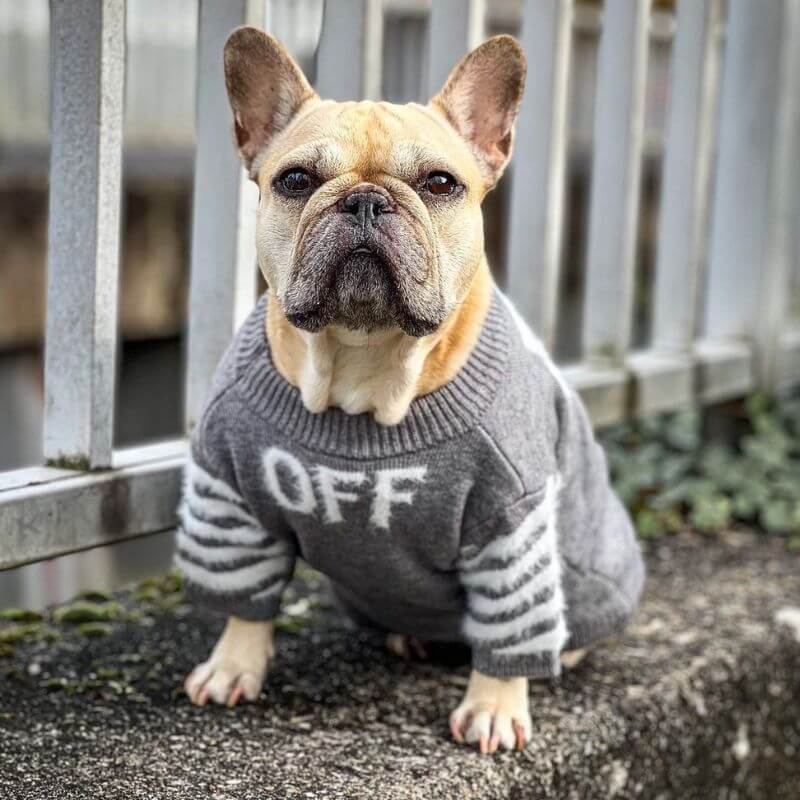 frenchie-space-shop-silvervibe-french-bulldog-sweater-10 frenchie space shop silvervibe french bulldog sweater