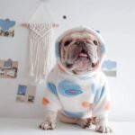 frenchie space shop 7th heaven frenchie hoodie