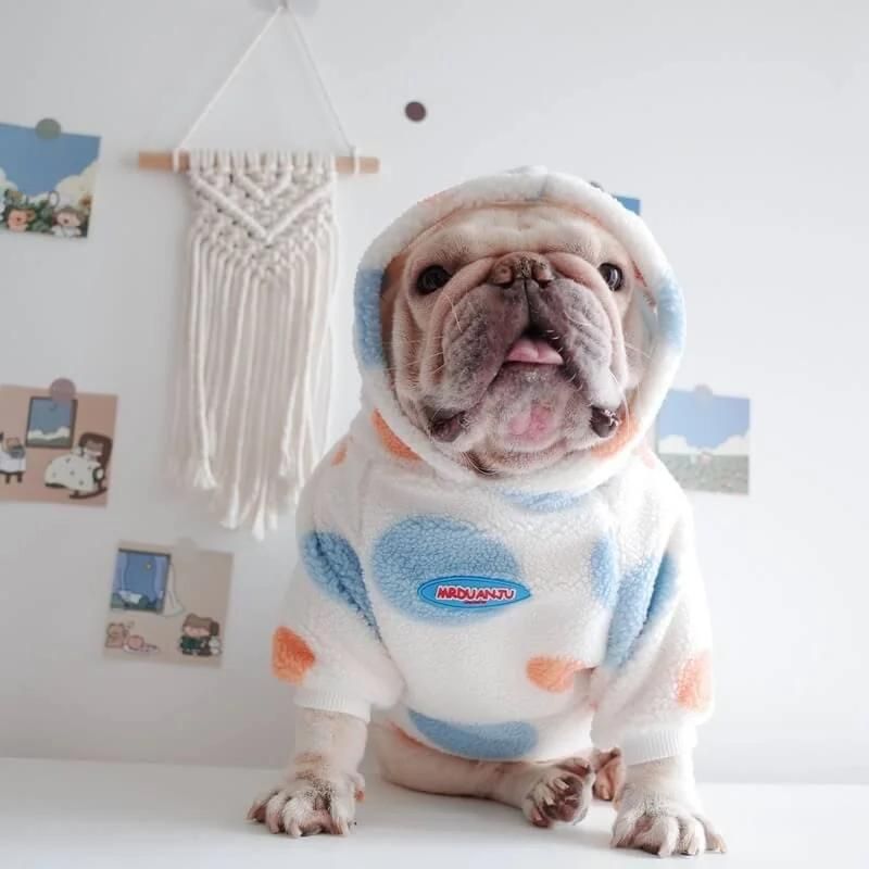 frenchie-space-shop-7th-heaven-frenchie-hoodie-3 frenchie space shop 7th heaven frenchie hoodie