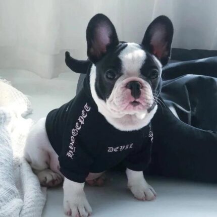 frenchie space shop badside french bulldog hoodie