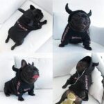 frenchie space shop badside french bulldog hoodie