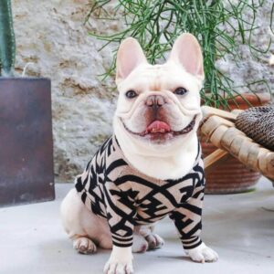 frenchie space shop bark-n-blendi french bulldog sweater