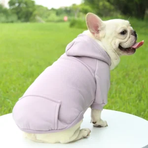 frenchie space shop basic french bulldog hoodie