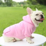frenchie space shop basic french bulldog hoodie