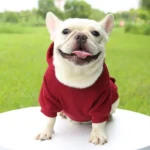 frenchie space shop basic french bulldog hoodie