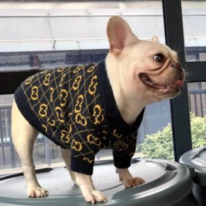frenchie space shop black elegance frenchie sweater