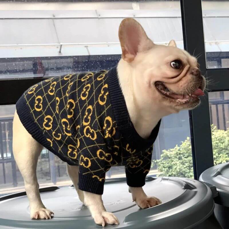 frenchie-space-shop-black-elegance-frenchie-sweater-1 frenchie space shop black elegance frenchie sweater