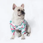 frenchie space shop breezy french bulldog shirt