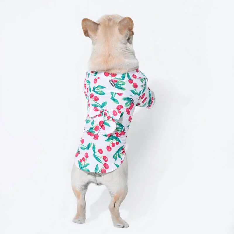 frenchie space shop breezy french bulldog shirt