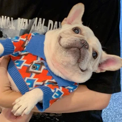 frenchie space shop brightstyle french bulldog sweater
