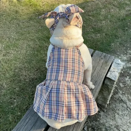frenchie space shop british glam frenchie dress
