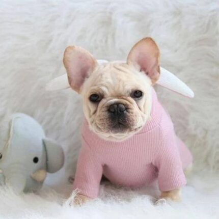 frenchie space shop bunny french bulldog hoodie