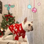 frenchie space shop christmas santa french bulldog sweater