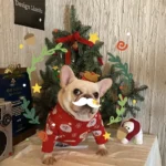 frenchie space shop christmas santa french bulldog sweater