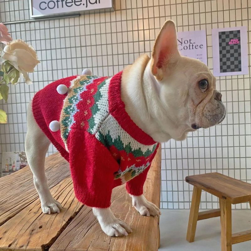 frenchie-space-shop-christmasred-french-bulldog-sweater-2 frenchie space shop christmasred french bulldog sweater