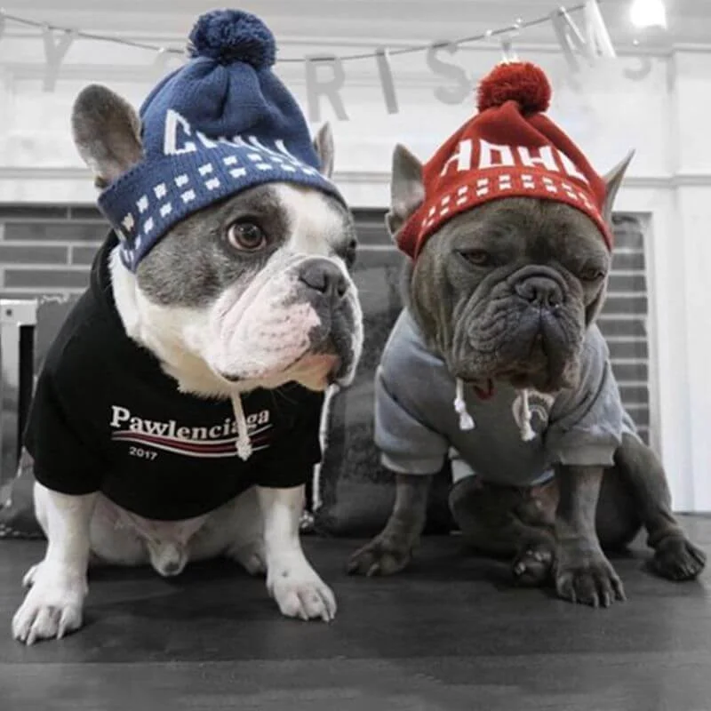 frenchie space shop classic french bulldog hoodie