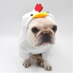 frenchie space shop cockadoodle french bulldog hoodie