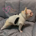 frenchie space shop cozytouch french bulldog sweater