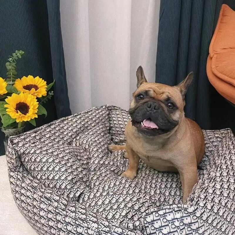 frenchie-space-shop-dogior-frenchie-bed-5 frenchie space shop dogior frenchie bed