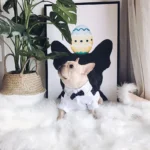 frenchie space shop elegantsuit french bulldog shirt