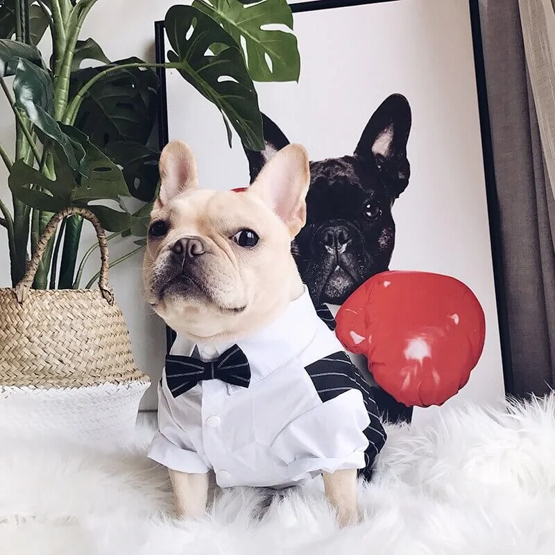 frenchie-space-shop-elegantsuit-french-bulldog-shirt-6 frenchie space shop elegantsuit french bulldog shirt
