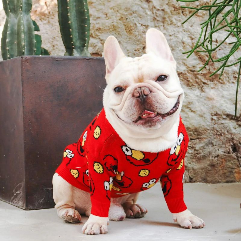 frenchie-space-shop-elmo-french-bulldog-sweater-1 frenchie space shop elmo french bulldog sweater