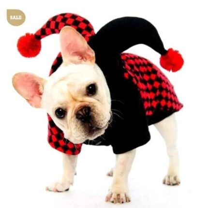 frenchie space shop french bulldog joker costume