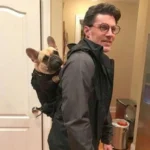 frenchie space shop french bulldog mesh carrier