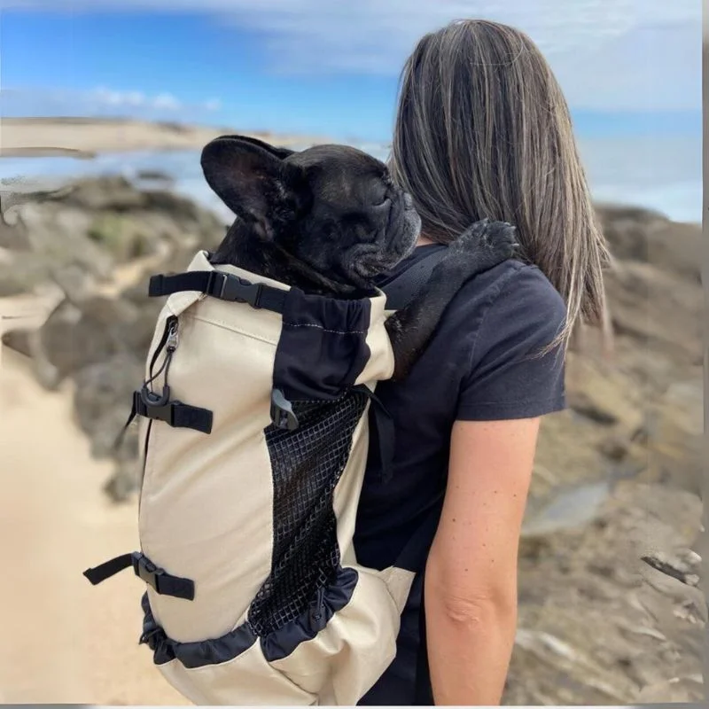 frenchie-space-shop-french-bulldog-mesh-carrier-18 frenchie space shop french bulldog mesh carrier