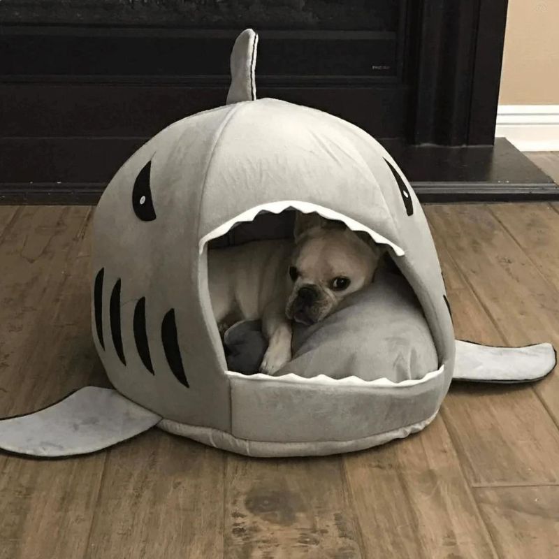 frenchie space shop french bulldog shark bed