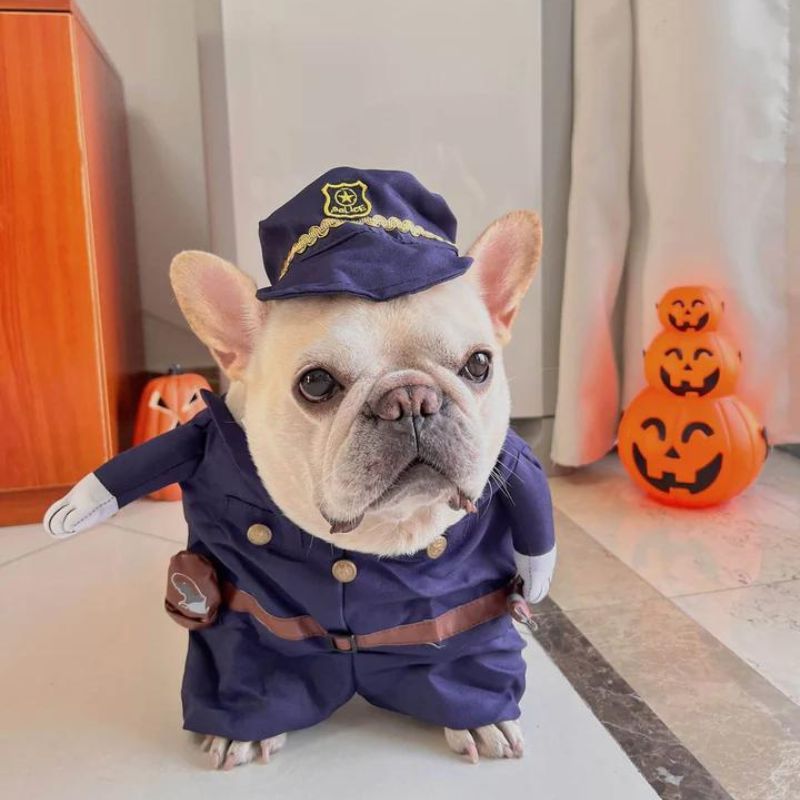 frenchie space shop frenchielice french bulldog costume