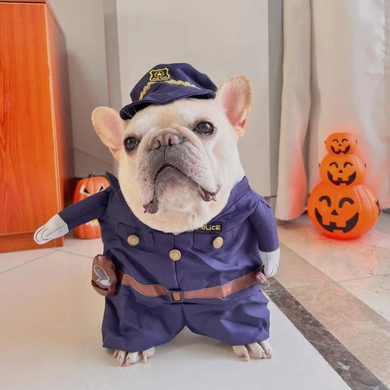 frenchie-space-shop-frenchielice-french-bulldog-costume-3 frenchie space shop frenchielice french bulldog costume