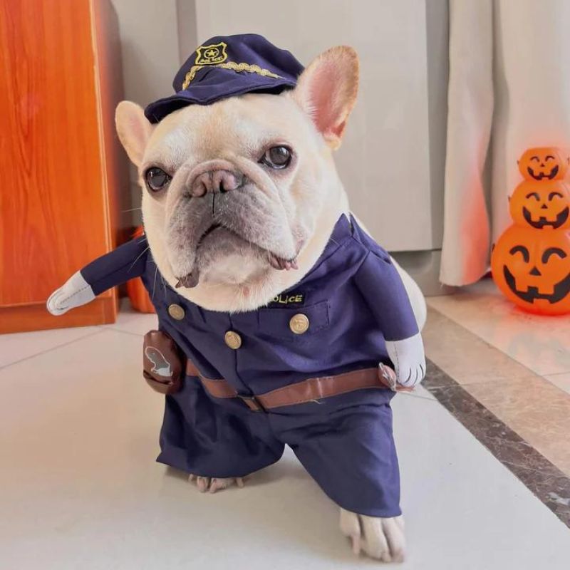 frenchie space shop frenchielice french bulldog costume