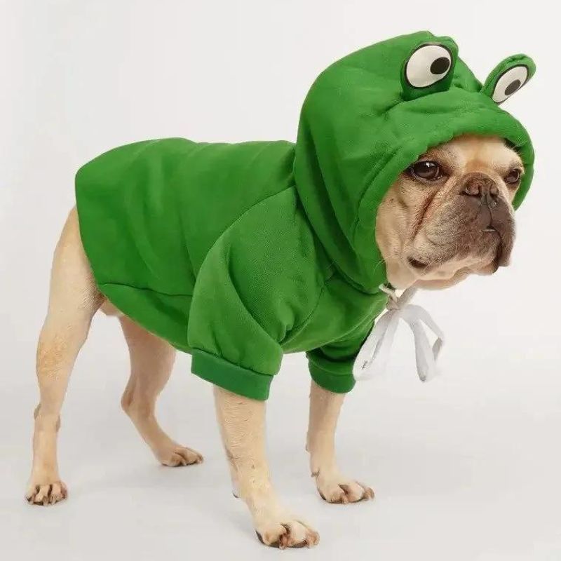 frenchie-space-shop-froggy-doggy-frenchie-hoodie-4 frenchie space shop froggy doggy frenchie hoodie