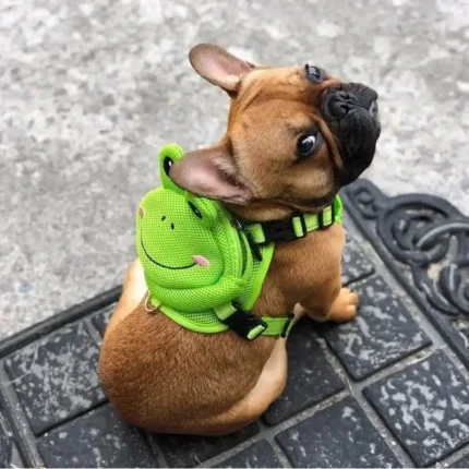 frenchie space shop froggy french bulldog backpack harness