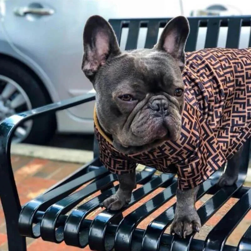 frenchie-space-shop-furendi-french-bulldog-shirt-5 frenchie space shop furendi french bulldog shirt