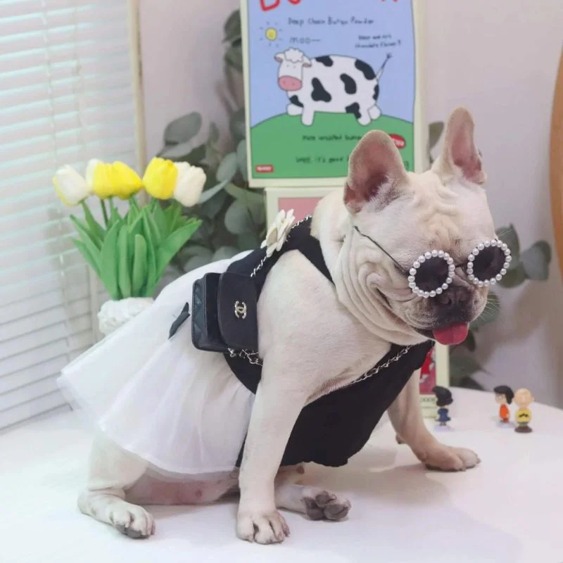 frenchie-space-shop-glam-french-bulldog-dress-2 frenchie space shop glam french bulldog dress