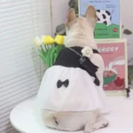 frenchie space shop glam french bulldog dress